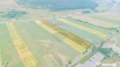 Teren intravilan de vânzare în Codlea, iesirea spre Sibiu 