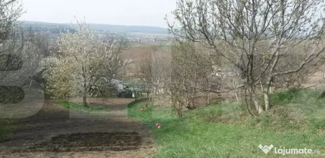 Casa individuala 63mp, teren 8657mp, Manolesti - Botosani