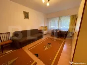 Garsoniera, decomandata, 42 mp, pet friendly, Kaufland Mana 