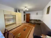 Garsoniera, decomandata, 42 mp, pet friendly, Kaufland Mana 