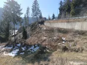 Teren intravilan de vânzare – 3100 mp Colibita, front lac