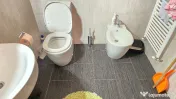Vand casa in Deva, zona Crangului (Olarilor) D+ P+M, mobilata, utilata 