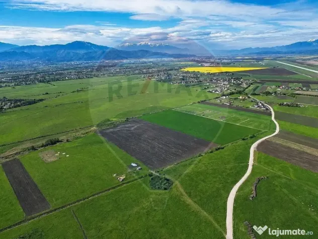 Teren intravilan 8600mp | Stupini, Brașov | Oportunitate...