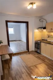 Casa stil sasesc cu garsoniera, garaj, curte, gradina, Bod, 