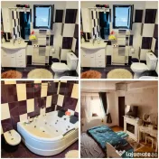 Casă individuală cu piscină, curte amenajată și afacere 