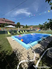 Casă individuală cu piscină, curte amenajată și afacere 
