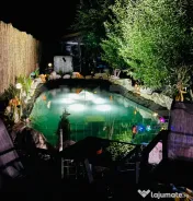Casă individuală cu piscină, curte amenajată și afacere 