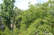 Oferta Vanzare Apartament 3 Camere Rahova | Localizare Excelenta 