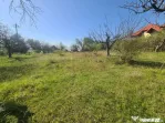 Teren de vanzare in Campina