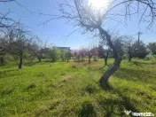 Teren de vanzare in Campina