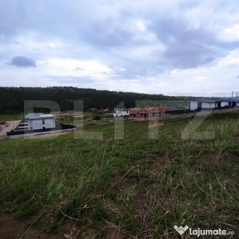 Teren de vânzare în Valea Lupului – Strada Lacului | 2 p