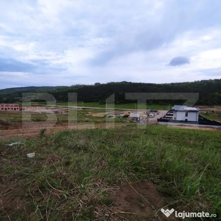 Teren de vânzare în Valea Lupului – Strada Lacului | 2 p