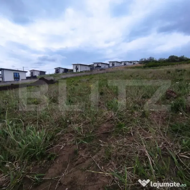 Teren de vânzare în Valea Lupului – Strada Lacului | 2 p