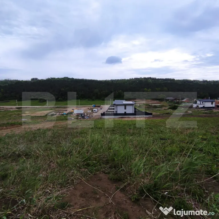 Teren de vânzare în Valea Lupului – Strada Lacului | 2 p