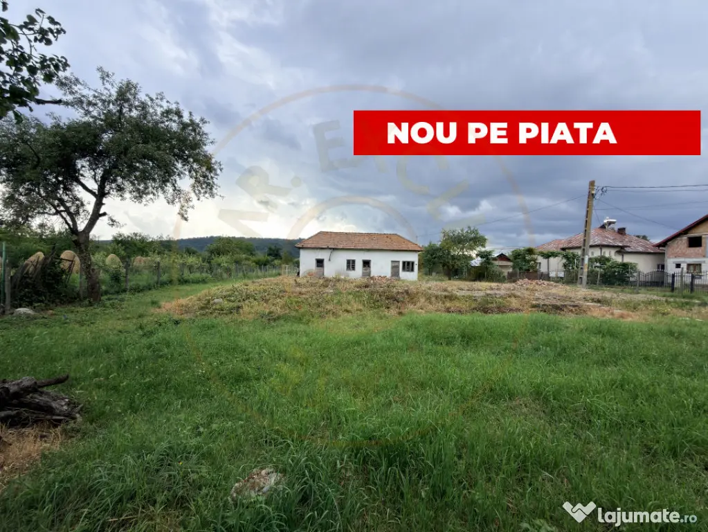 Teren intravilan – 2.109 mp | Albești - Transfagarasan -