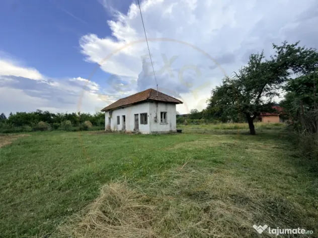 Teren intravilan – 2.109 mp | Albești - Transfagarasan -
