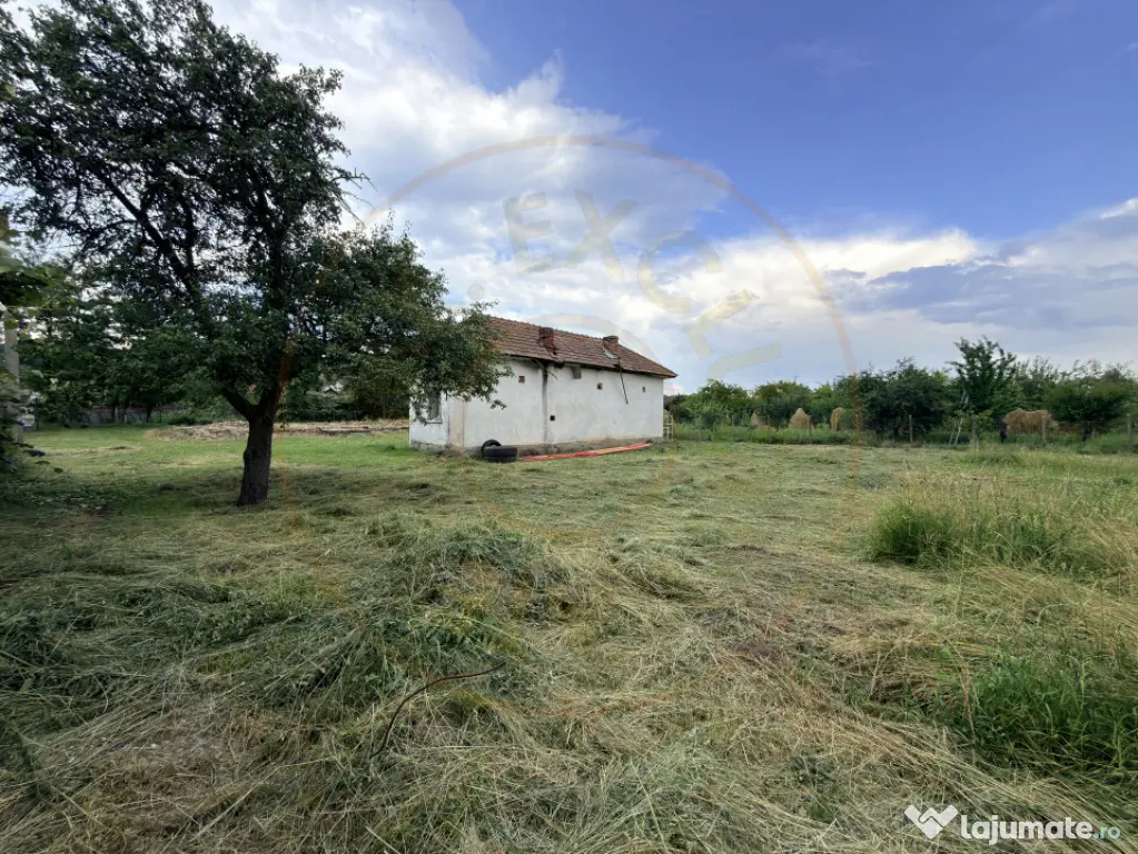 Teren intravilan – 2.109 mp | Albești - Transfagarasan -
