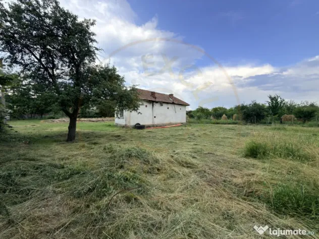 Teren intravilan – 2.109 mp | Albești - Transfagarasan -