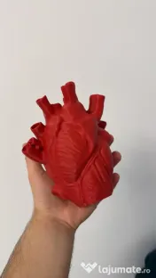 Vază decorativă inimă anatomică 