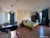 EXCLUSIVITATE - VILA INDIVIDUAL#258; P 1 M pod 