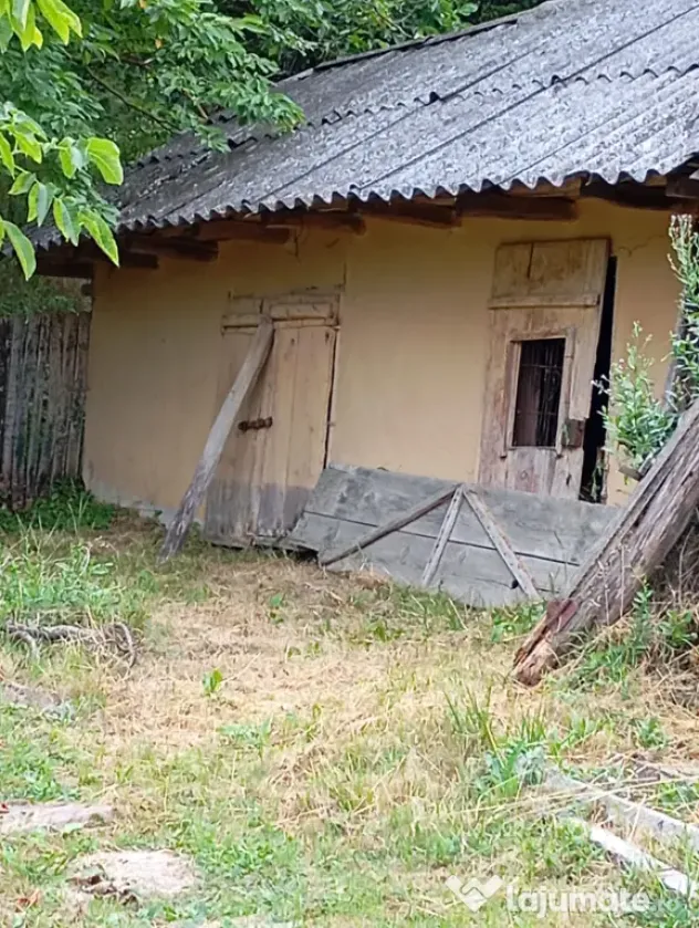 Casă bătrânească cu teren generos de 5.000 mp – Șișcani (15 km de Huși)
