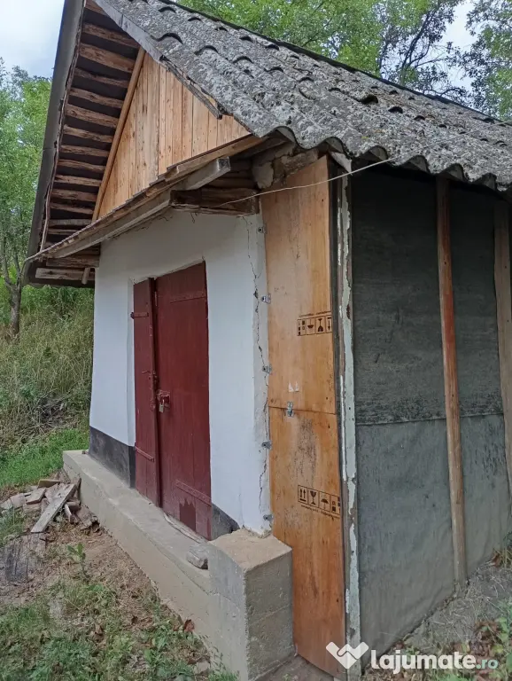 Casă bătrânească cu teren generos de 5.000 mp – Șișcani (15 km de Huși)