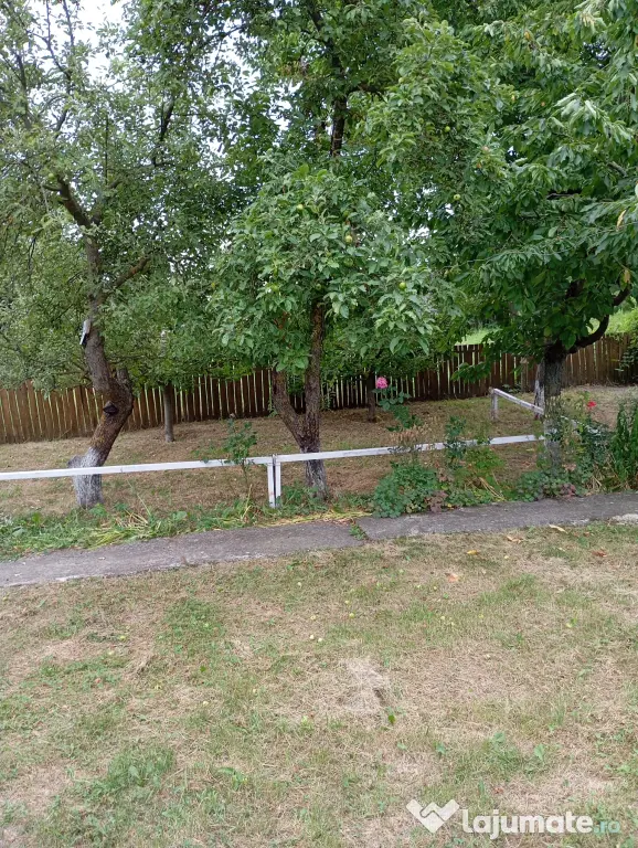 Casă bătrânească cu teren generos de 5.000 mp – Șișcani (15 km de Huși)