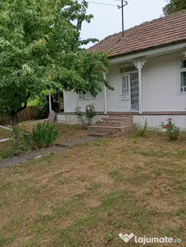 Casă bătrânească cu teren generos de 5.000 mp – Șișcani (15 km de Huși)