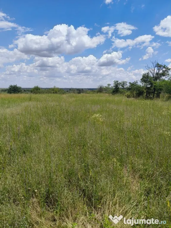 Teren intravilan – 2.500 mp – Roșiori de Vede, Teleorman