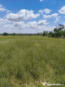 Teren intravilan – 2.500 mp – Roșiori de Vede, Teleorman