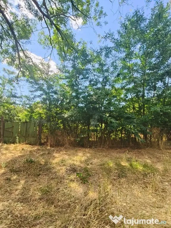 Teren intravilan – 2.500 mp – Roșiori de Vede, Teleorman