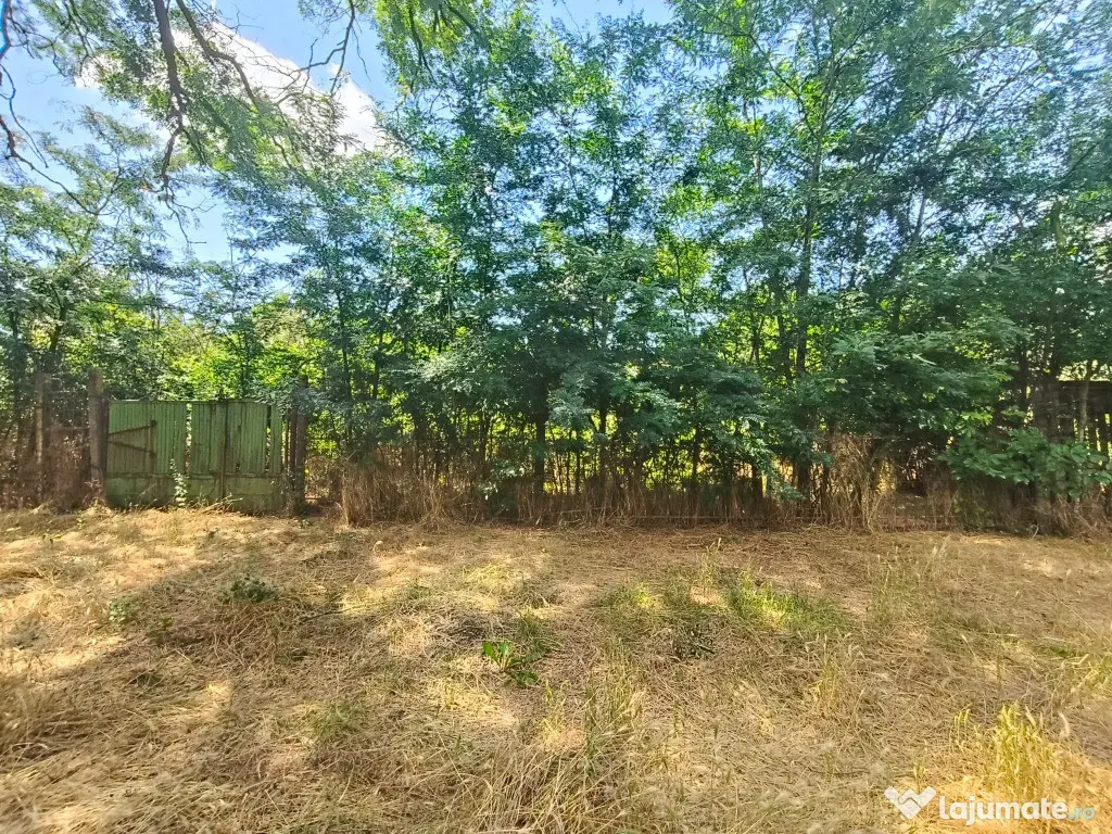 Teren intravilan – 2.500 mp – Roșiori de Vede, Teleorman
