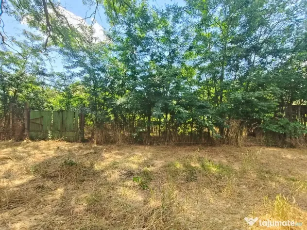 Teren intravilan – 2.500 mp – Roșiori de Vede, Teleorman