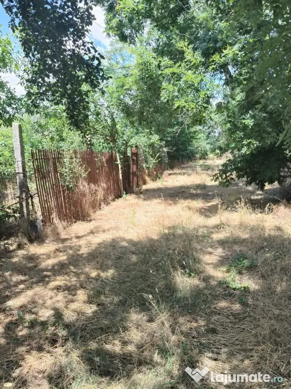 Teren intravilan – 2.500 mp – Roșiori de Vede, Teleorman