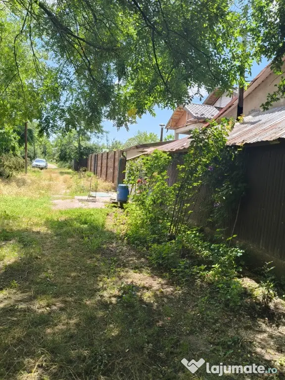 Teren intravilan – 2.500 mp – Roșiori de Vede, Teleorman