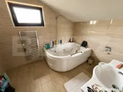 Casa individuala la cheie, Salicea, 159mp, 740mp teren.