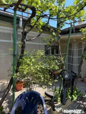 Casa Coiciu , teren 230 mp si deschidere de 13 