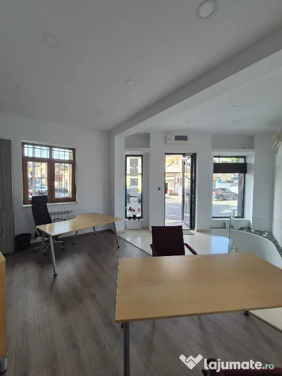 Proprietar,sp.comercial,cabinet,salon,agentie,Tineretului-Parcul Carol
