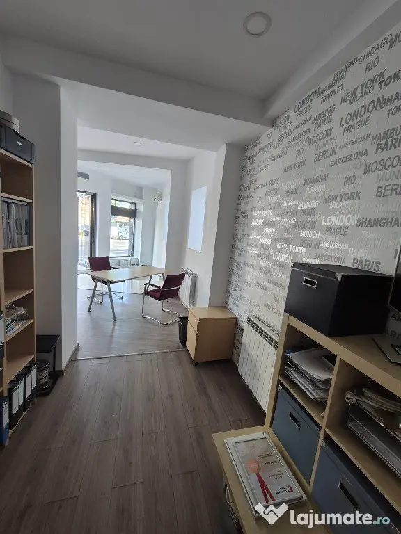 Proprietar,sp.comercial,cabinet,salon,agentie,Tineretului-Parcul Carol