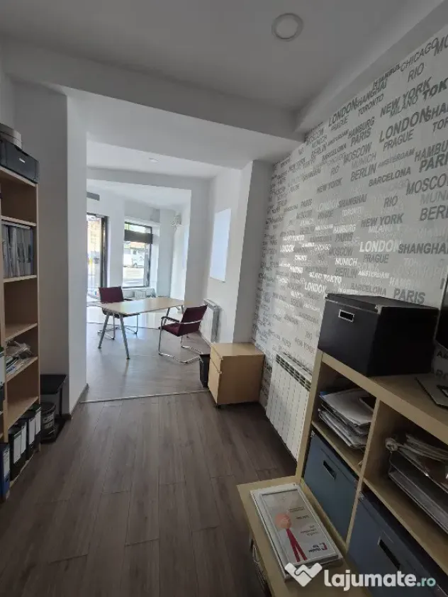Proprietar,sp.comercial,cabinet,salon,agentie,Tineretului-Parcul Carol