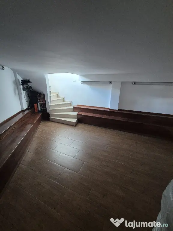 Proprietar,sp.comercial,cabinet,salon,agentie,Tineretului-Parcul Carol