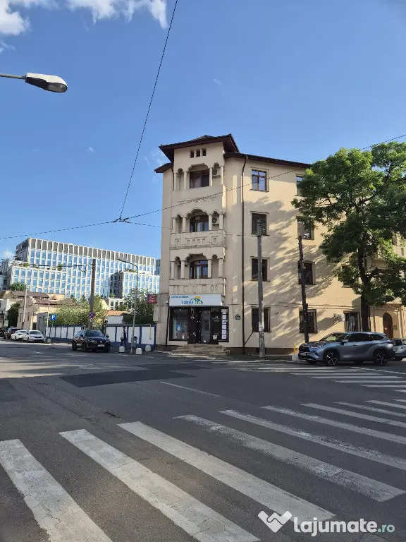 Proprietar,sp.comercial,cabinet,salon,agentie,Tineretului-Parcul Carol