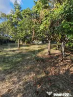 Teren intravilan, 1388 mp, zona Centrala