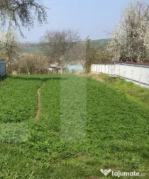 Teren intravilan, 3891 mp, la drum asfaltat, zona Bucecea