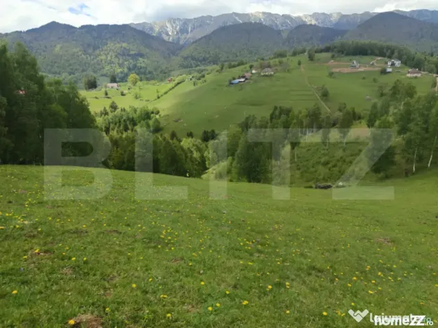Peștera, Moieciu: Teren Generos cu Priveliște Bucegi și P - Pestera (Brasov)