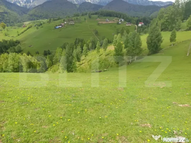 Peștera, Moieciu: Teren Generos cu Priveliște Bucegi și P - Pestera (Brasov)