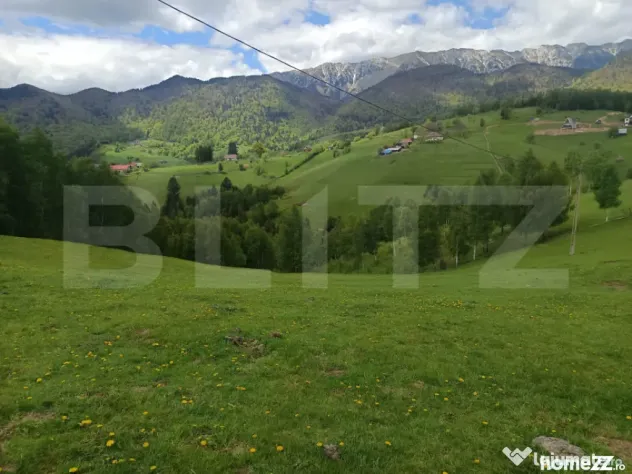 Peștera, Moieciu: Teren Generos cu Priveliște Bucegi și P - Pestera (Brasov)