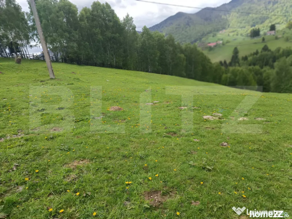 Peștera, Moieciu: Teren Generos cu Priveliște Bucegi și P - Pestera (Brasov)