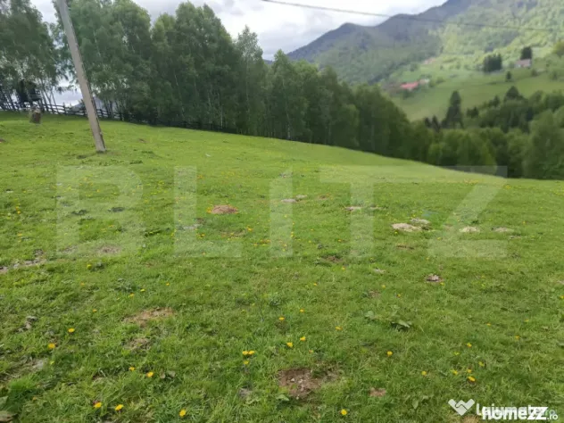 Peștera, Moieciu: Teren Generos cu Priveliște Bucegi și P - Pestera (Brasov)