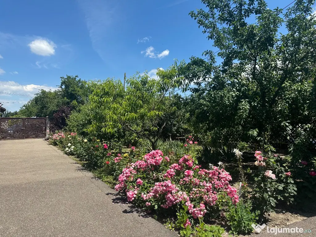VIGAFON - Casa 7 camere Cornesti-Dambovita